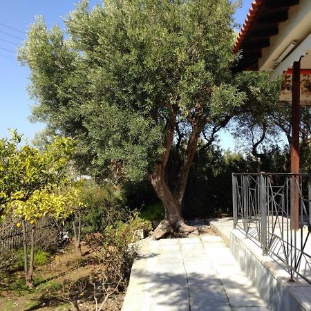 Gerakina Beach Cottage Psakoudia Eksteriør billede