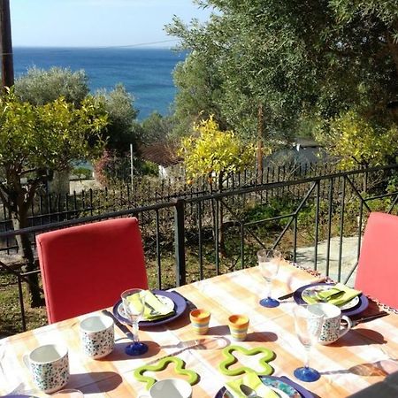 Gerakina Beach Cottage Psakoudia Eksteriør billede