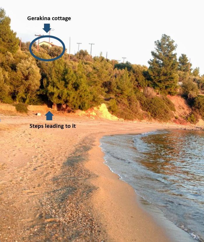Gerakina Beach Cottage Psakoudia Eksteriør billede