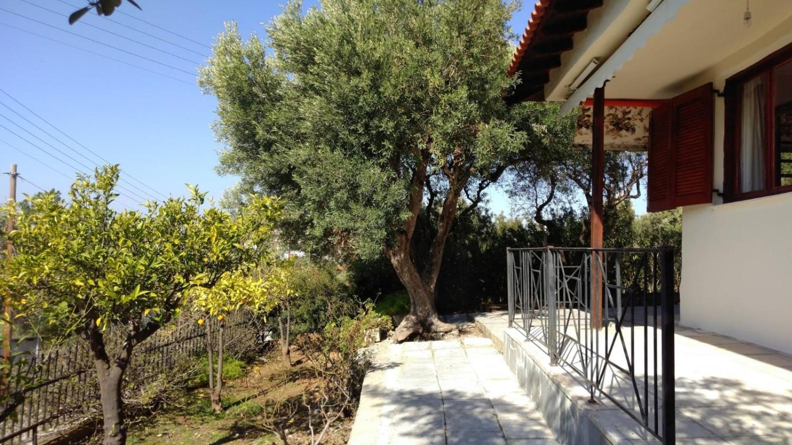 Gerakina Beach Cottage Psakoudia Eksteriør billede