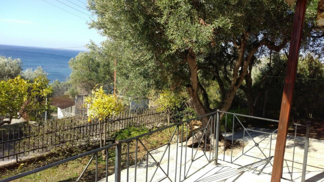 Gerakina Beach Cottage Psakoudia Eksteriør billede